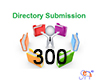 300 Directory Submission
